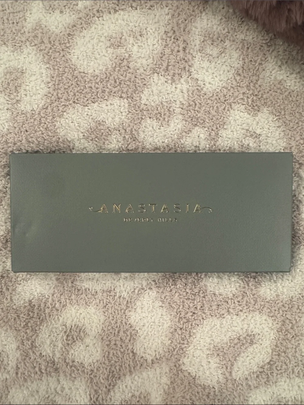 Anastasia beverly hills palette on noveau